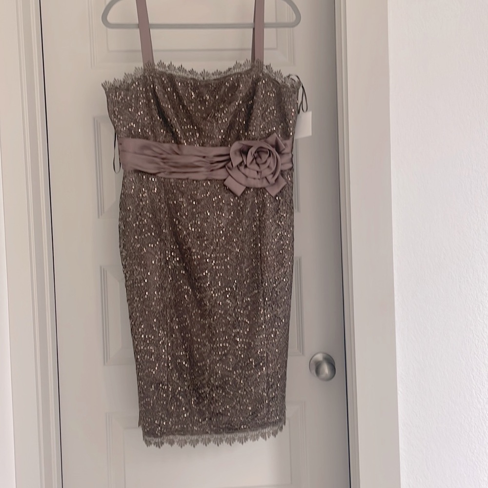 Brown dress, size 16, shiny and silk fabric new with tags R and M Richards